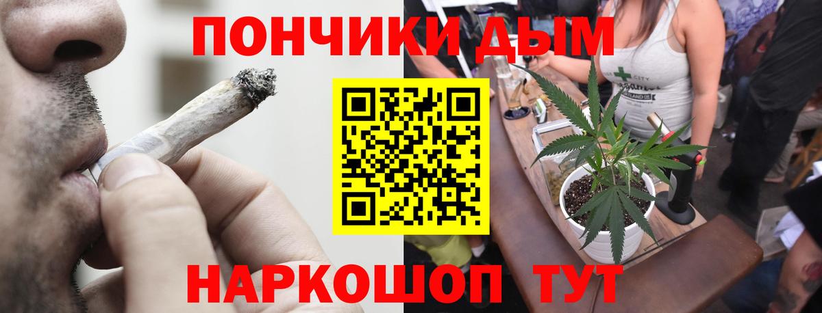 Бошки Шишки MAZAR Шадринск